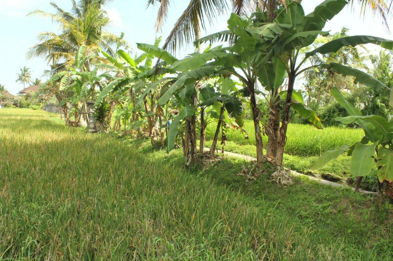 Ubud River Campuhan Villa Bagian luar foto